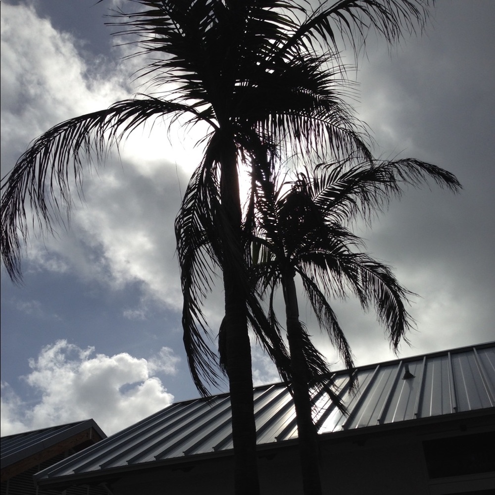 Meet your Posher, Eileen